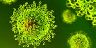 coronavirus