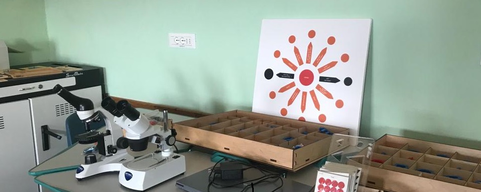 IMG-20221004-WA0031_sec_mg (1)