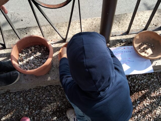 scuola primaria Ficulle