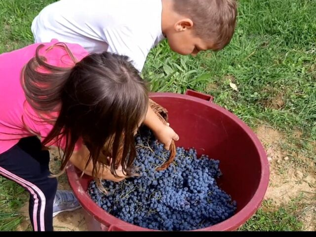 Screenshot_20220920-105817_WhatsApp