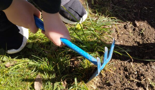 foto1-sanvenanzo (1)