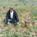 erasmus Ungheria Malta Italia